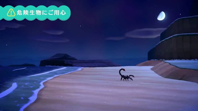 ニンテンドーダイレクトの動画内では、夜の砂浜に出現しているのが確認できます。